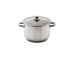 סיר 2.5 ליטר סולתם דגם ארז