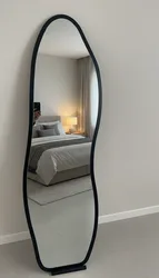 מראות גוף שחורה